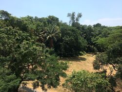 Spottiswoode 18 (D2), Apartment #308164811